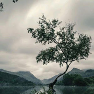 Meet your Posher, Jayden